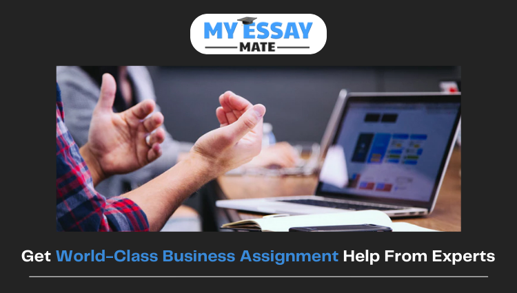 Business Assignment Help From Experts