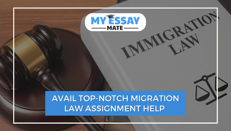 Avail Top-notch Migration Law Assignment Help
