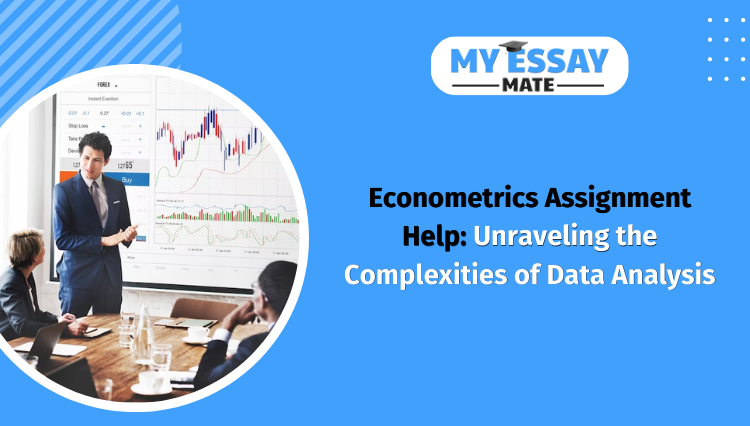 Econometrics Assignment Help: Unraveling the Complexities of Data Analysis